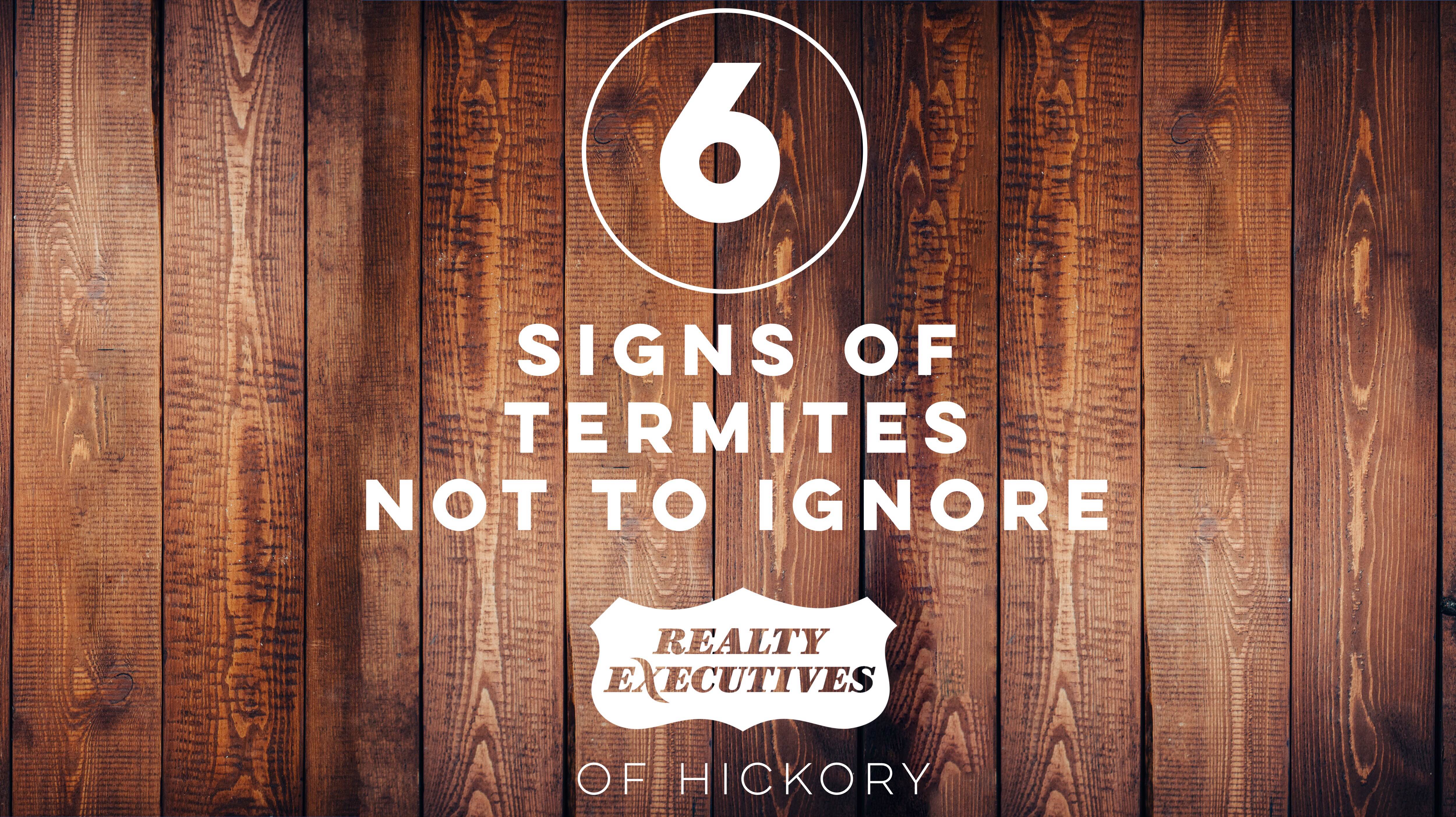 Buyer Beware: Termite Inspections a Necessity for House Hunters